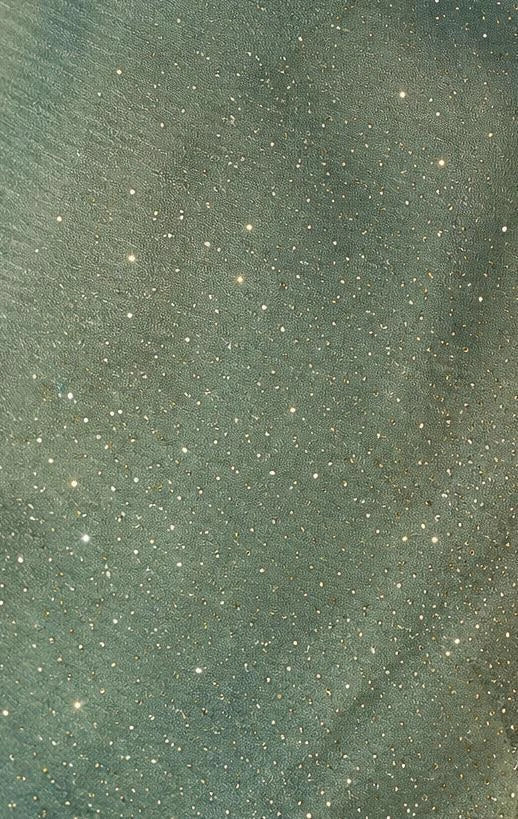 Sage Green Crush Chiffon Saree with Crystal Stone Border
