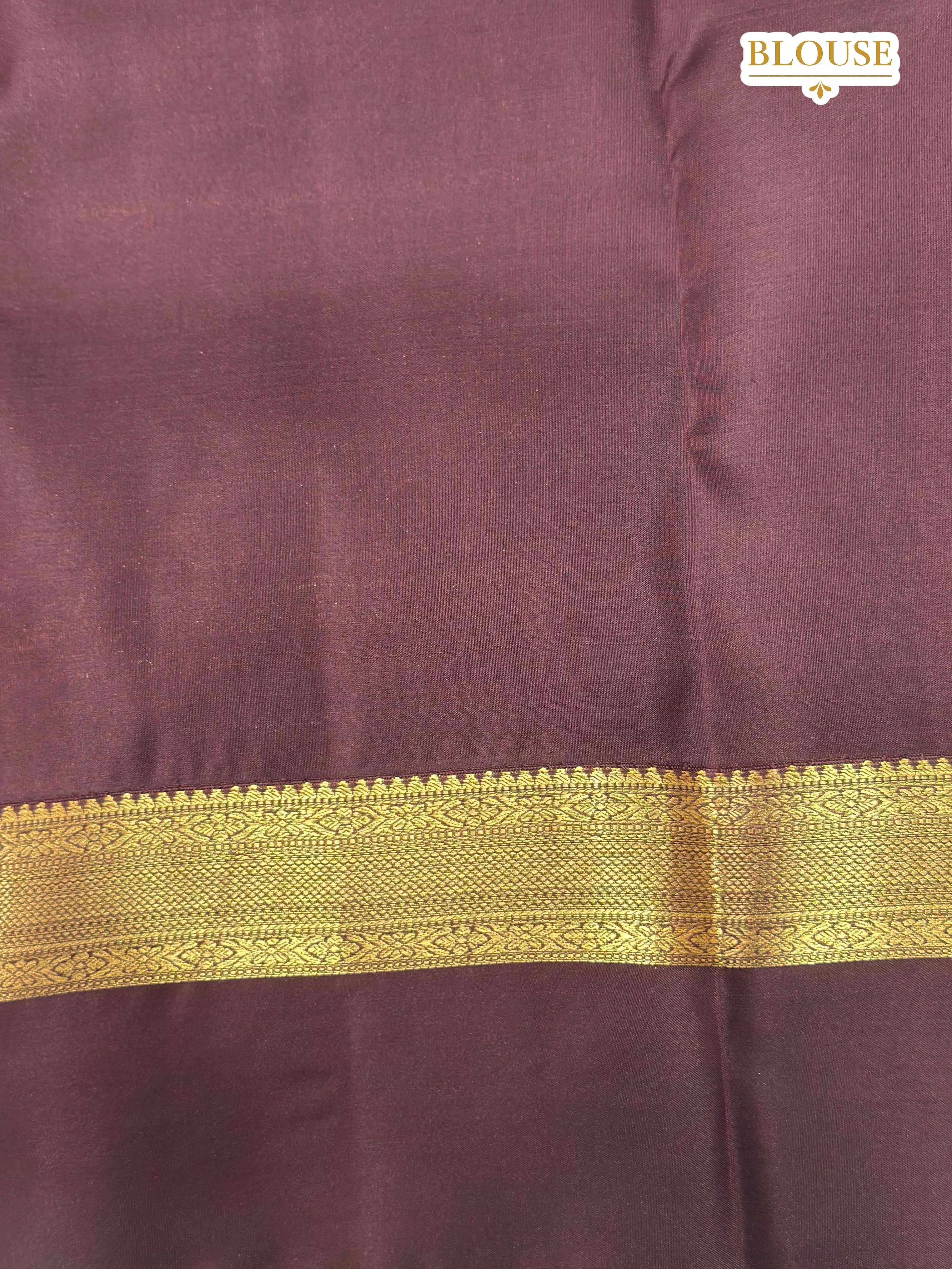 Rust Orange Pure Silk Saree with Brown Zari Border