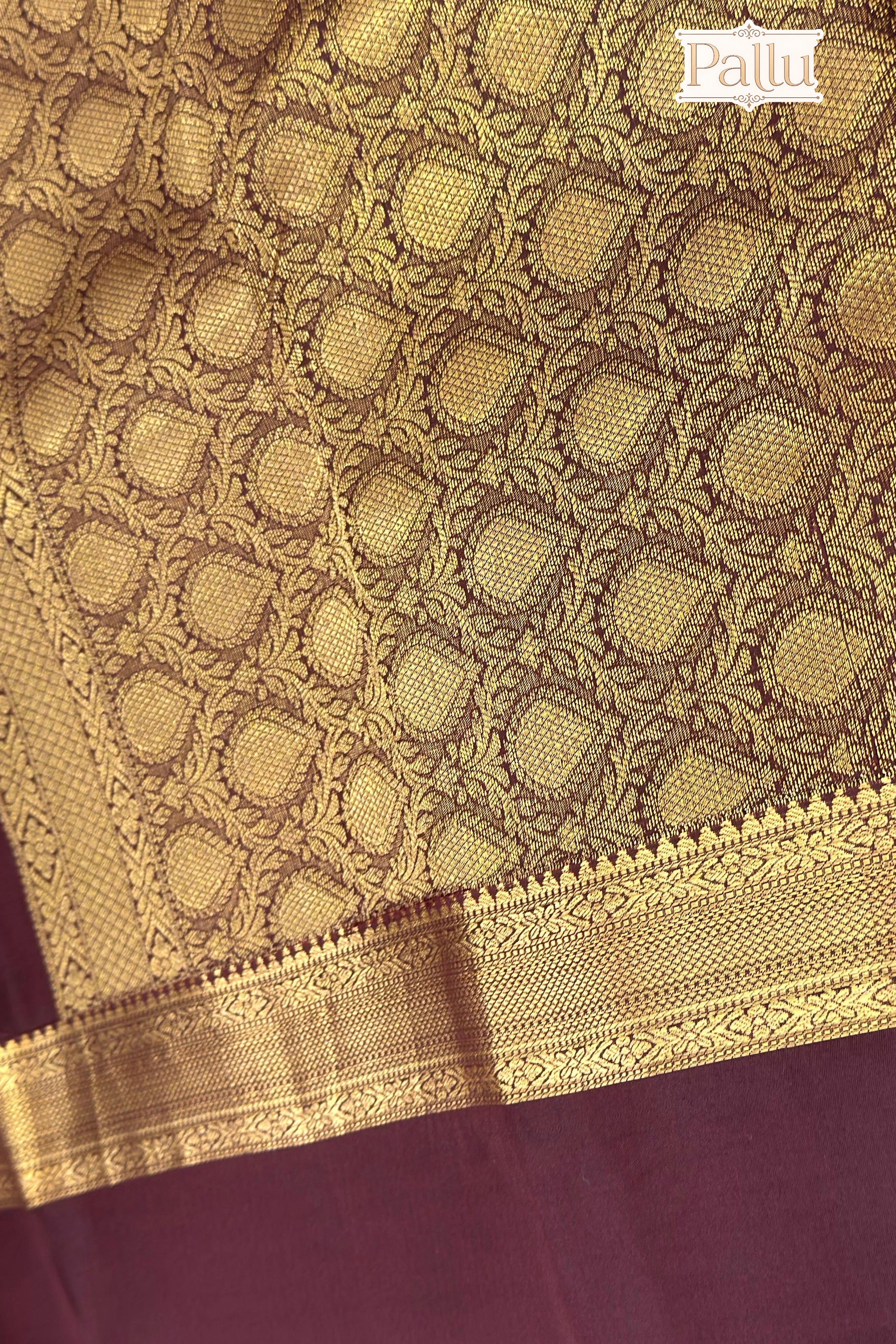 Rust Orange Pure Silk Saree with Brown Zari Border