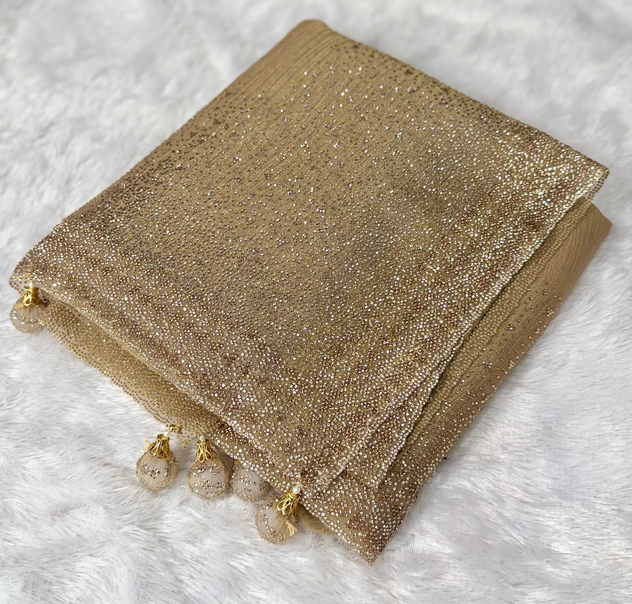 Sparkling Saree