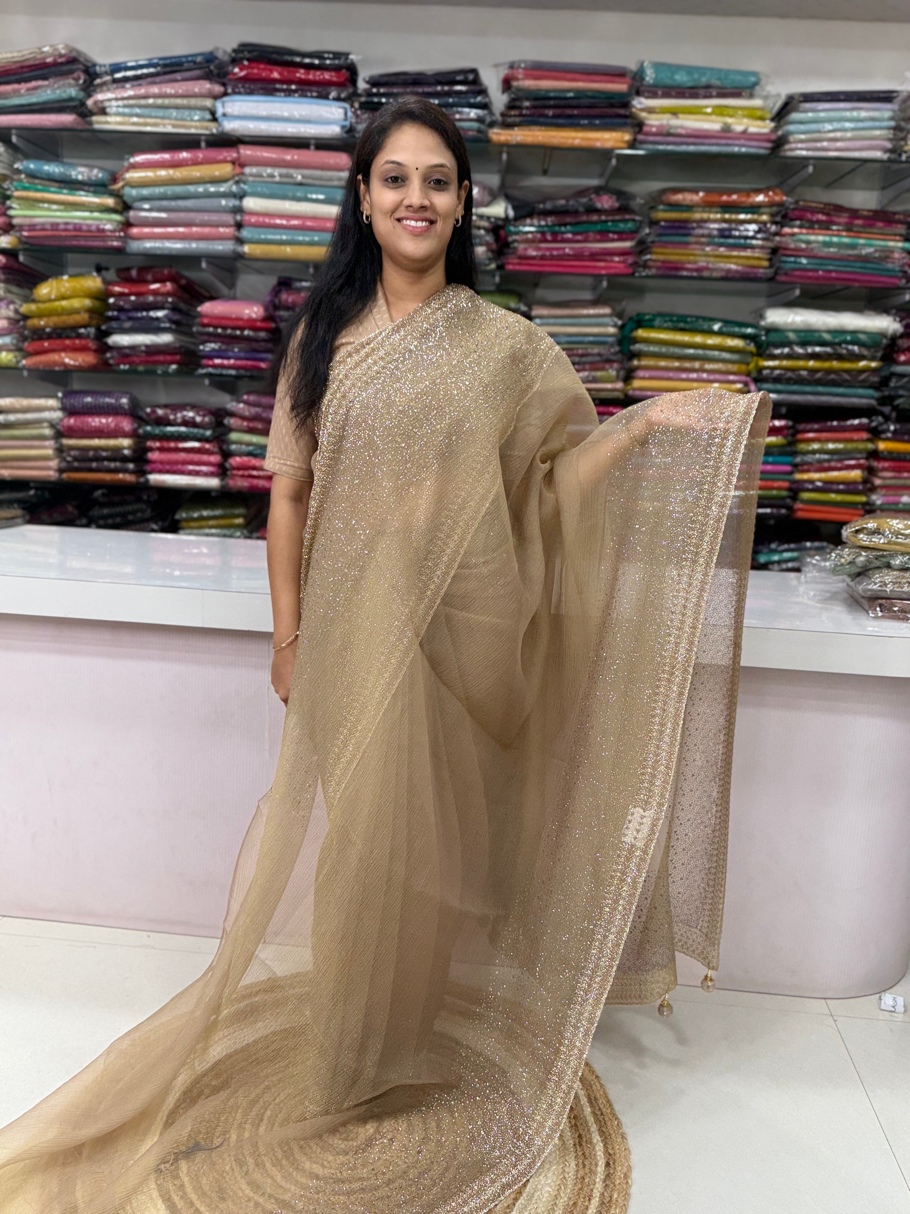 Sparkling Saree